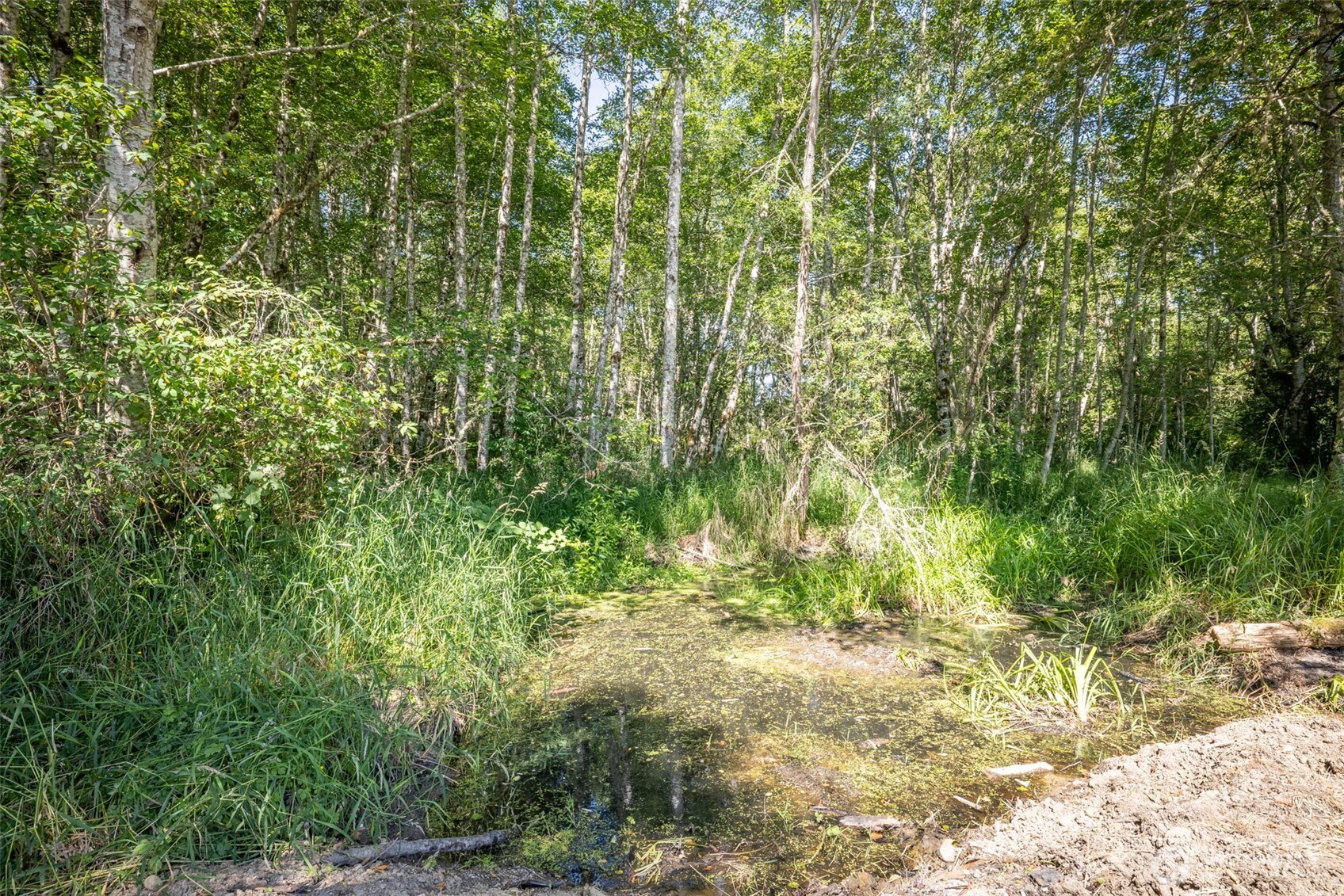 92 Gossett Road Property Photo 19