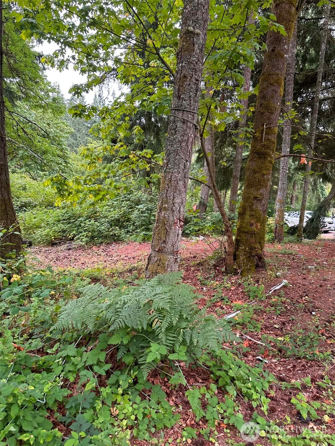 14140 Old Highway 99 Property Photo 25