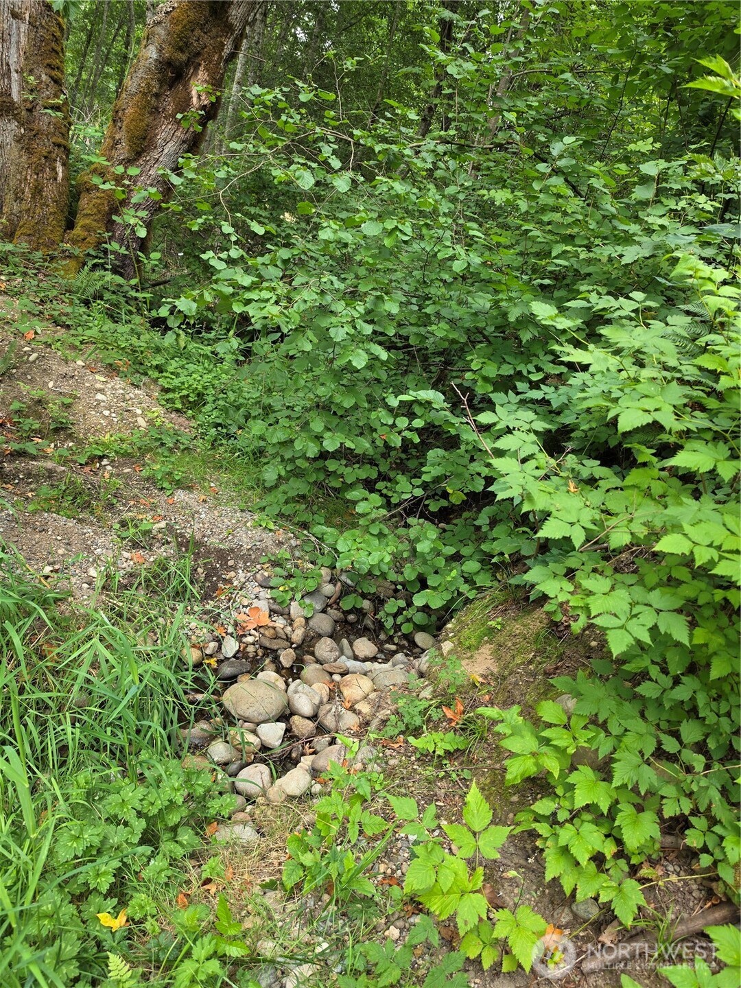 14140 Old Highway 99 Property Photo 27