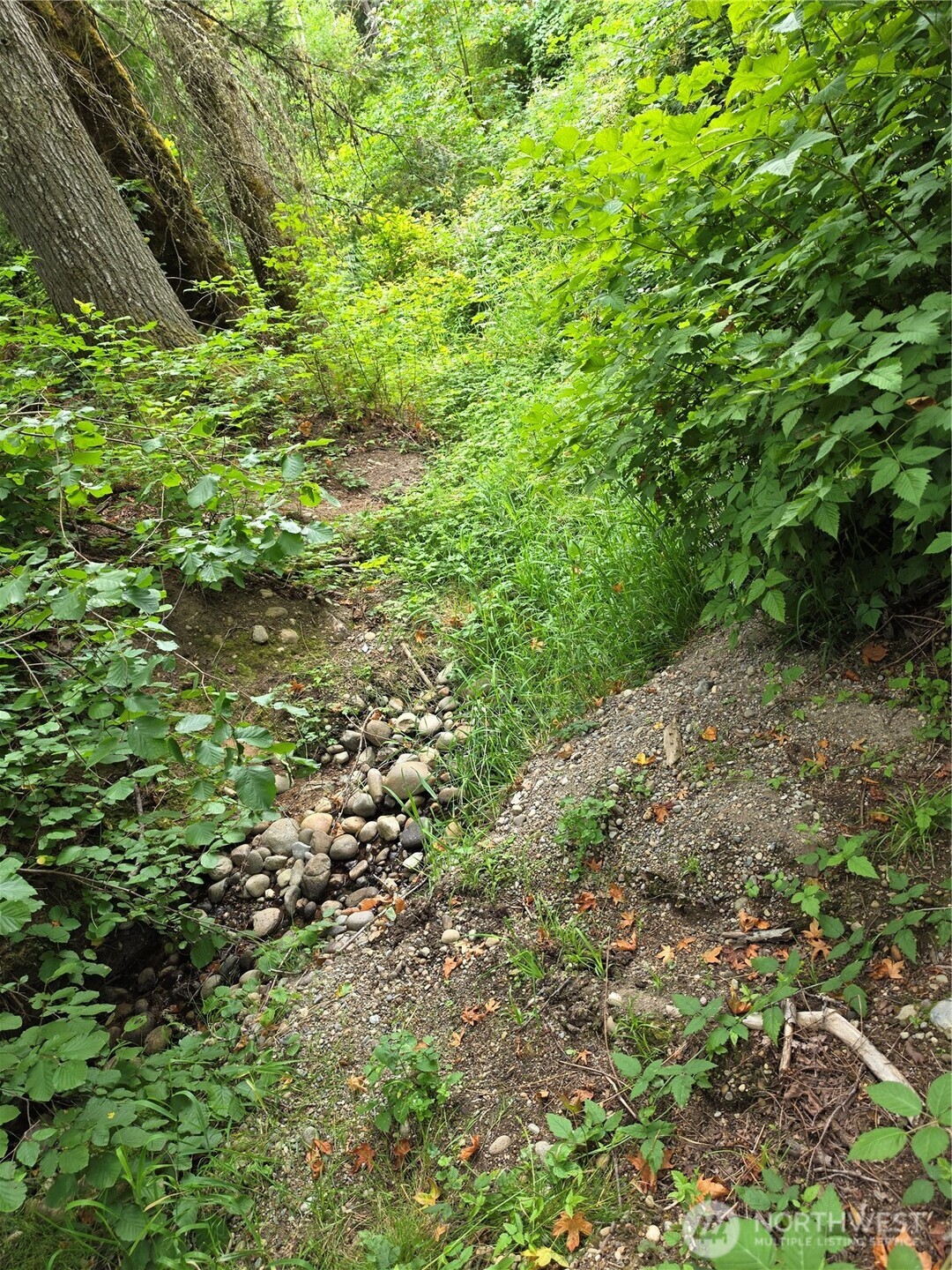 14140 Old Highway 99 Property Photo 28