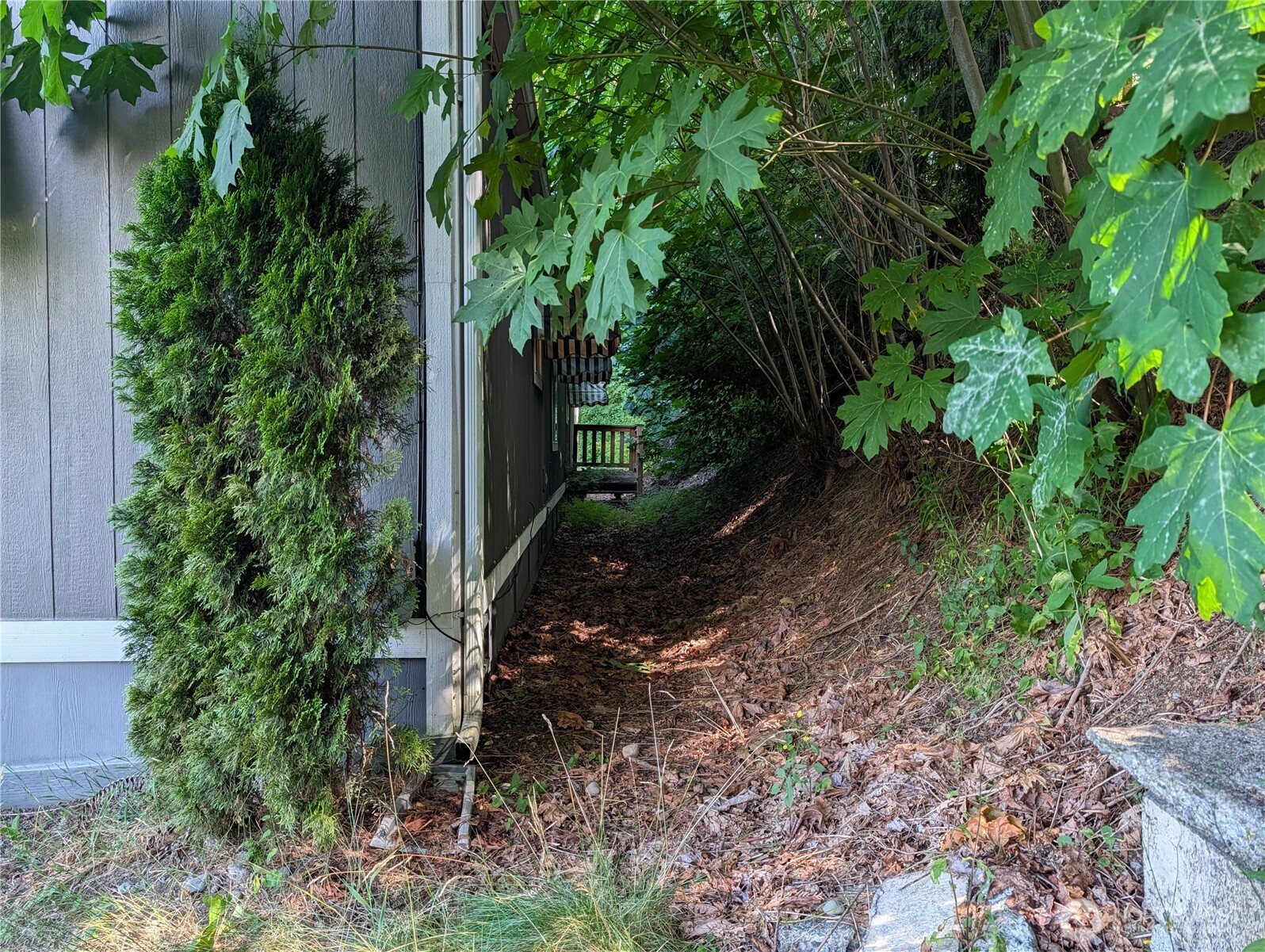 6109 Cemetery Road Property Photo 23