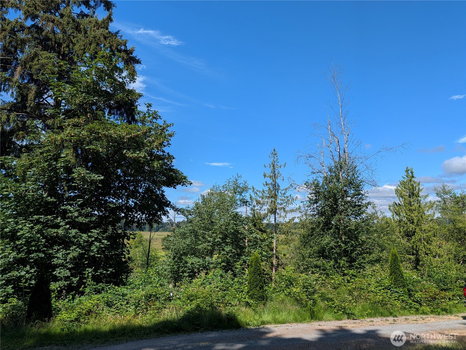 6109 Cemetery Road Property Photo 24