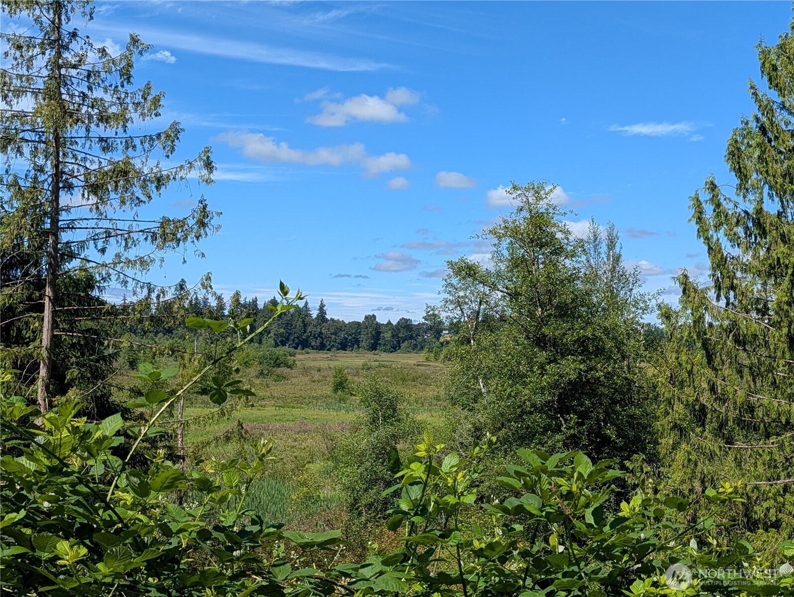 6109 Cemetery Road Property Photo 26