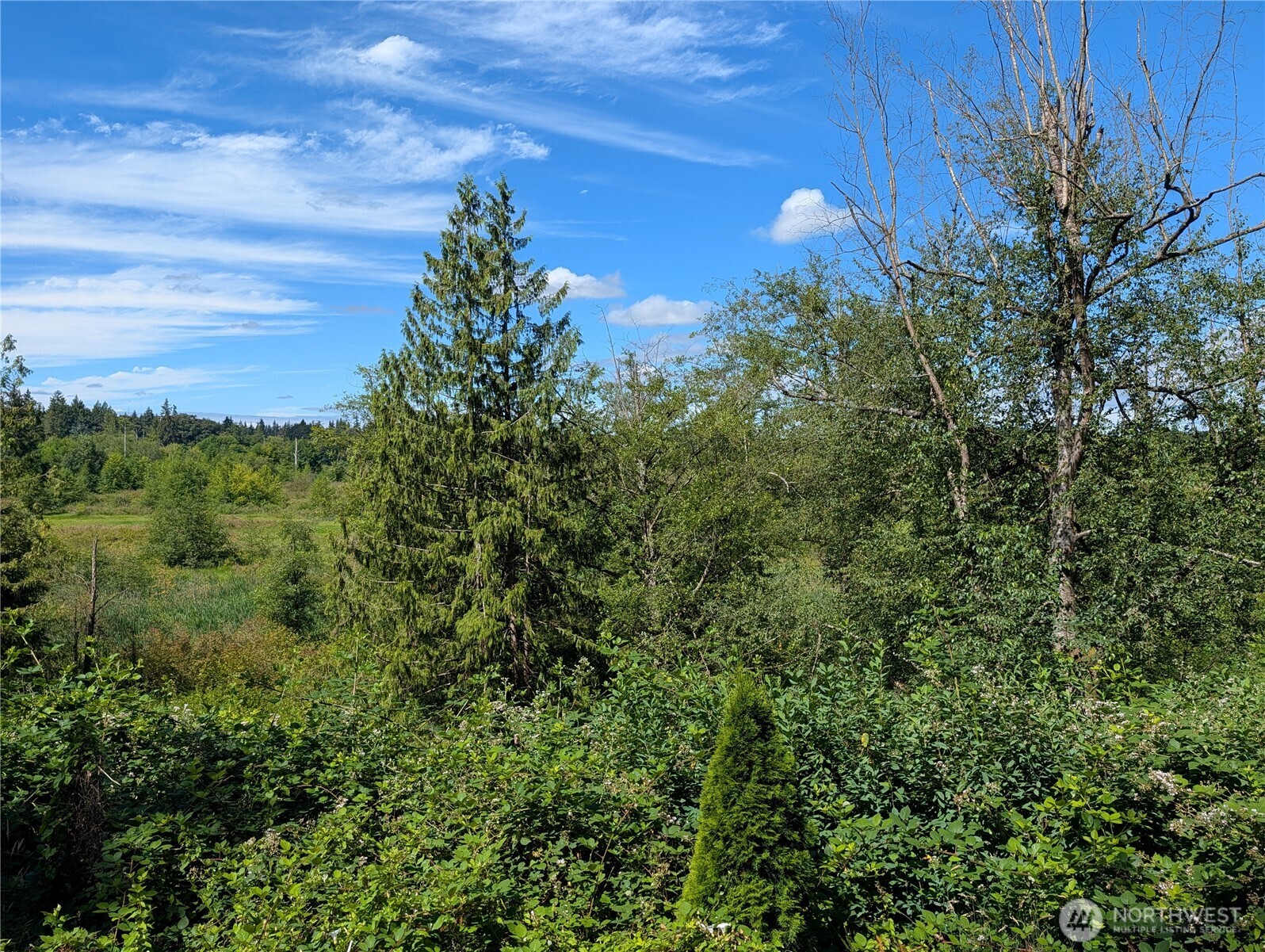 6109 Cemetery Road Property Photo 27