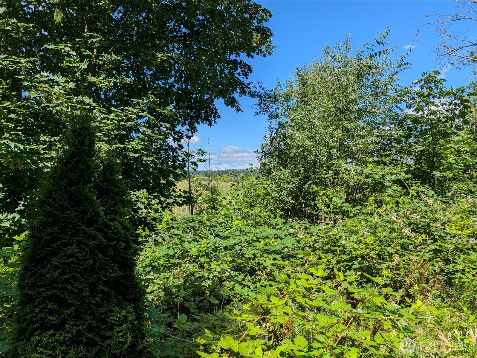6109 Cemetery Road Property Photo 28