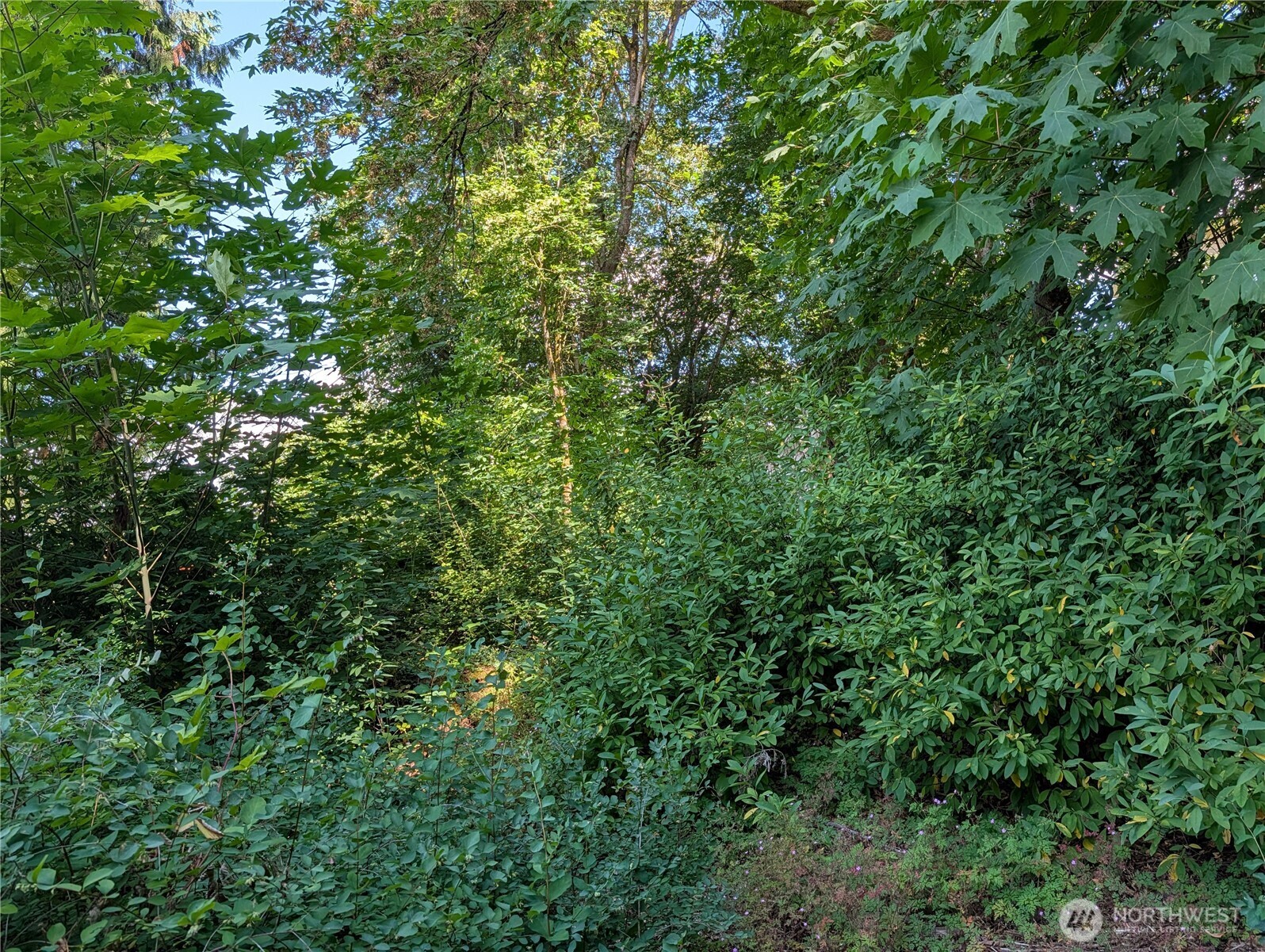 6109 Cemetery Road Property Photo 30