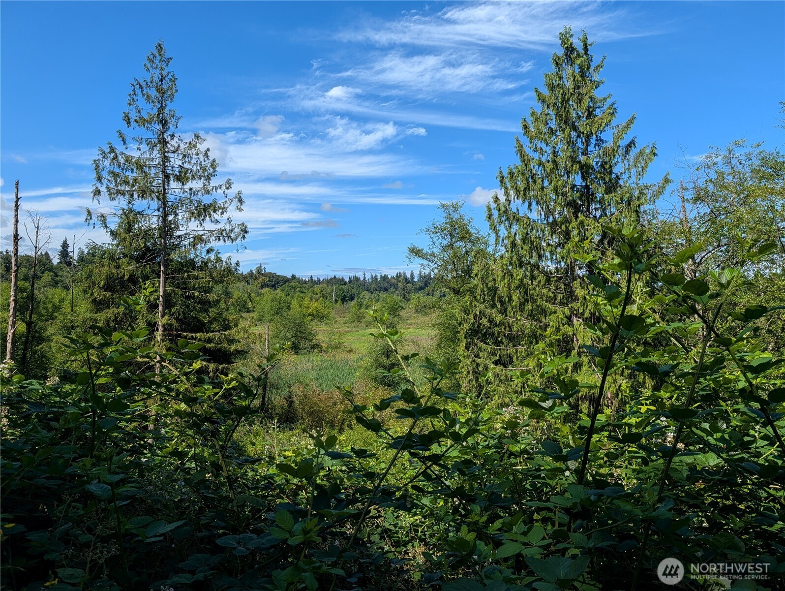 6109 Cemetery Road Property Photo 31