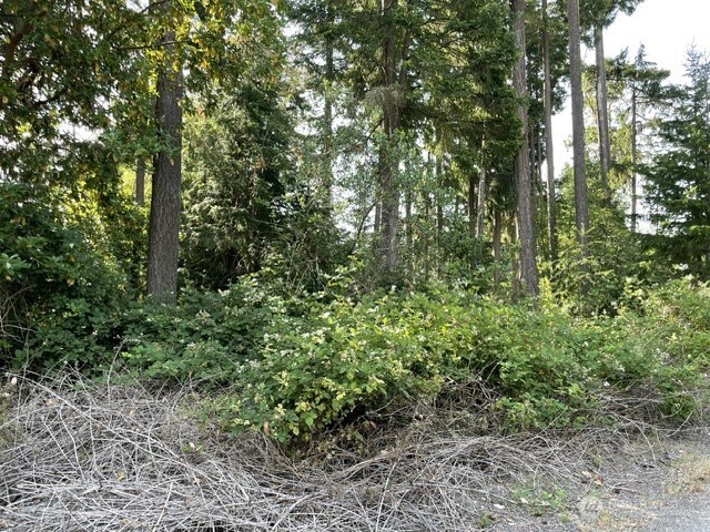 0 Lots A-d Rest Place Property Photo 3