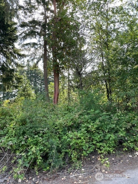 0 Lots A-d Rest Place Property Photo 4