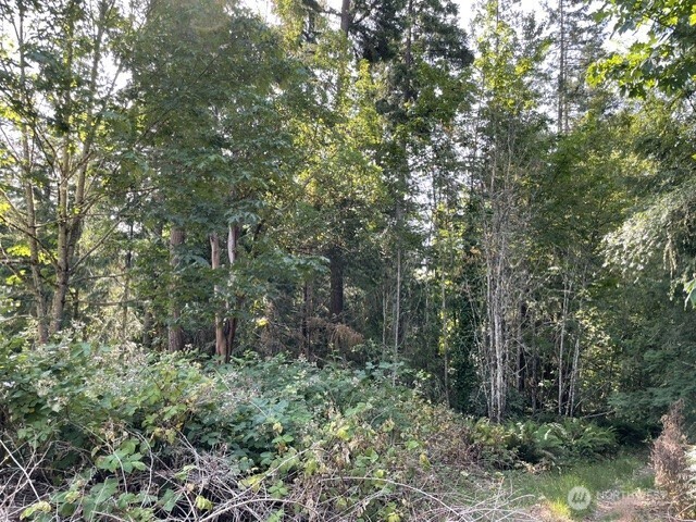 0 Lots A-d Rest Place Property Photo 5