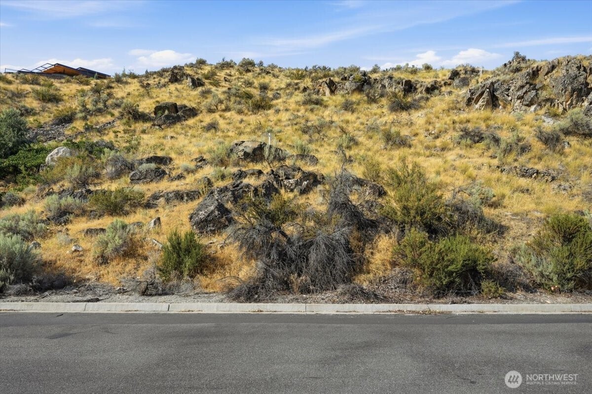 137 Long Drive Property Photo 4