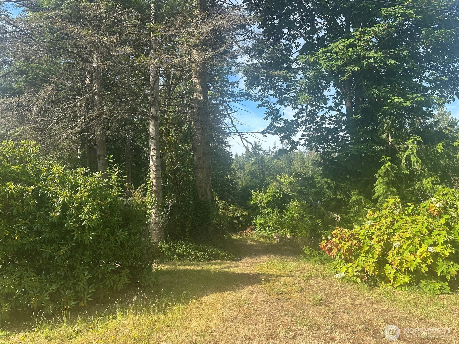 0 Lake Drive Property Photo 1