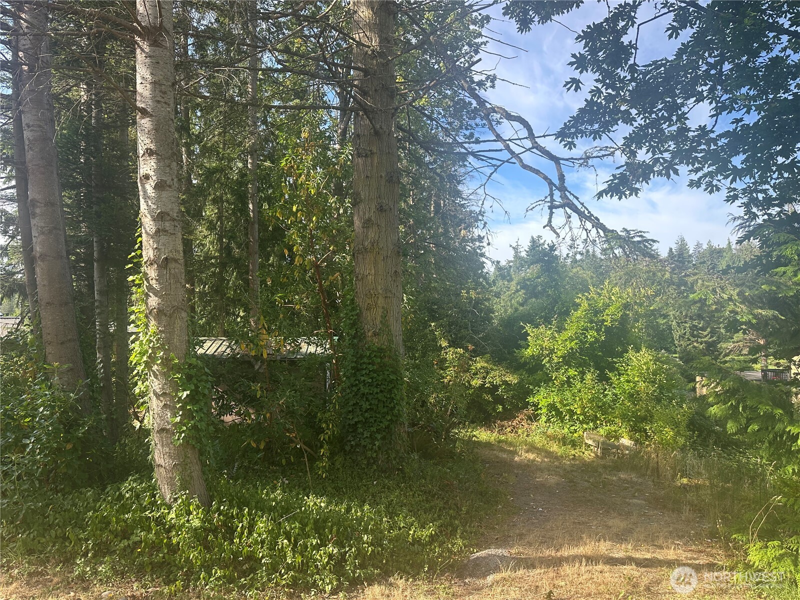 0 Lake Drive Property Photo 2