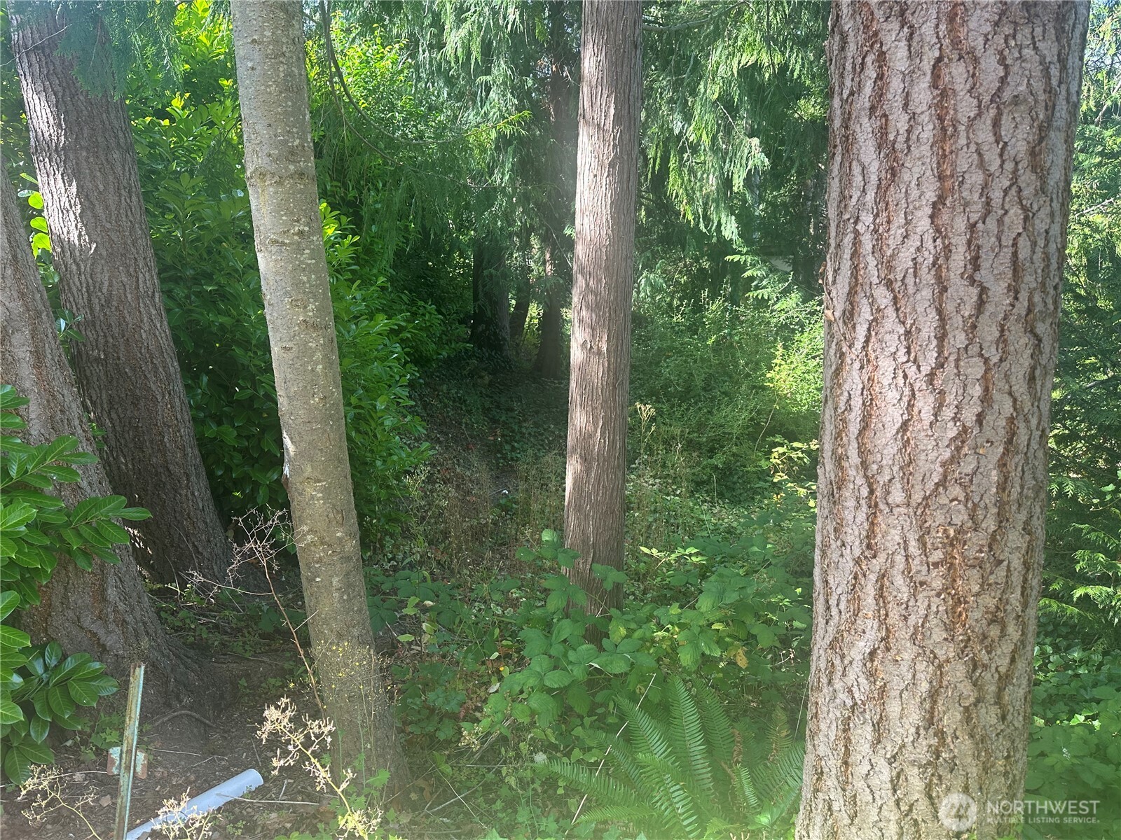 0 Lake Drive Property Photo 4