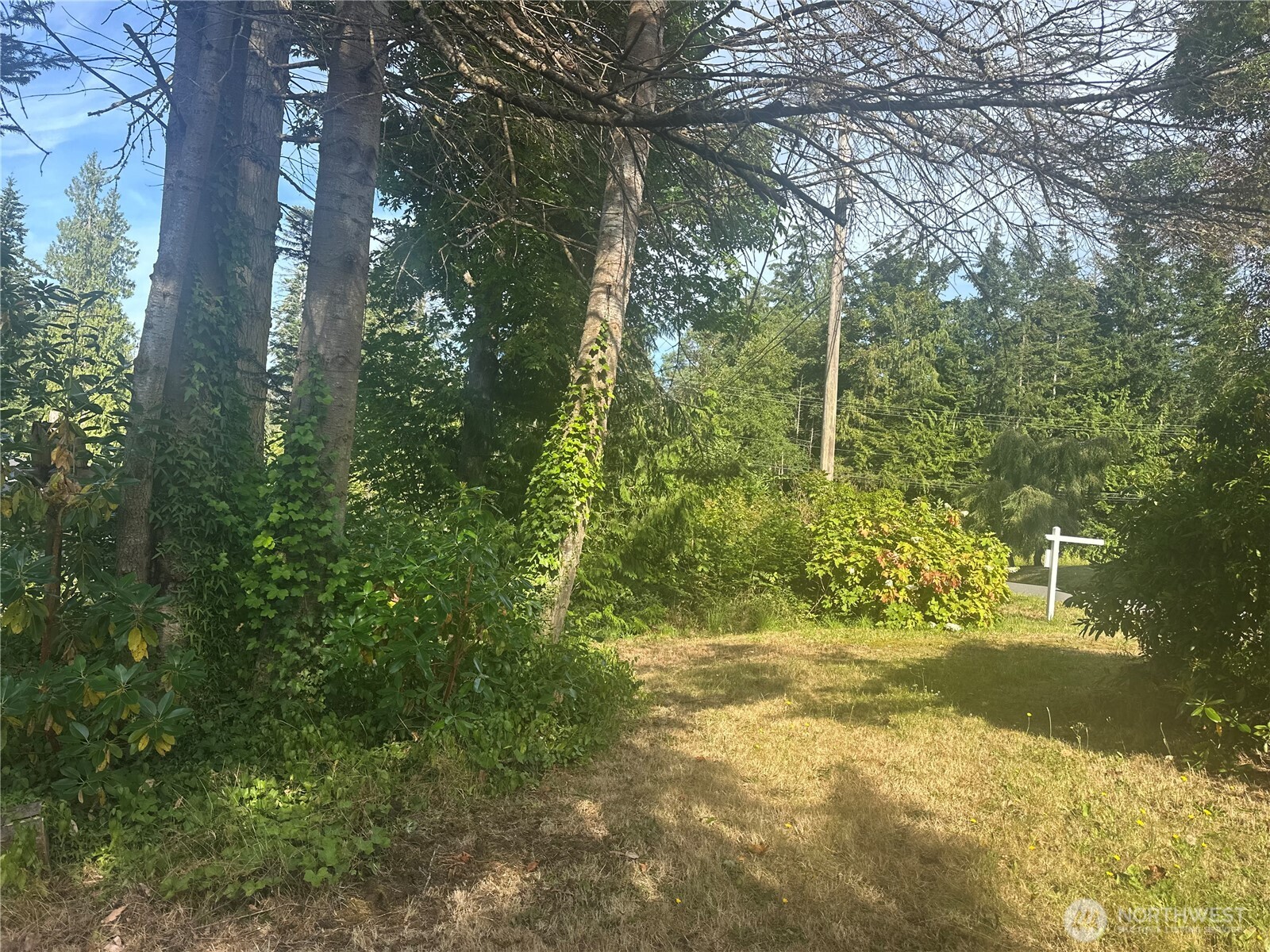 0 Lake Drive Property Photo 6