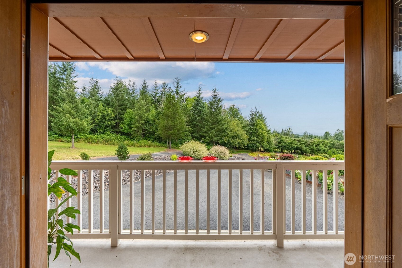 222 Volcano Lane Property Photo 19