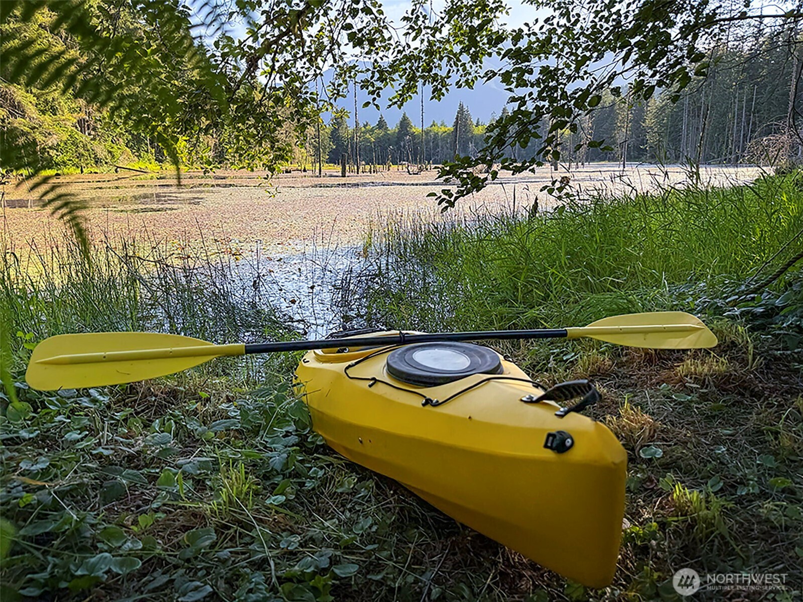 1177 Ripley Creek Road Property Photo 25