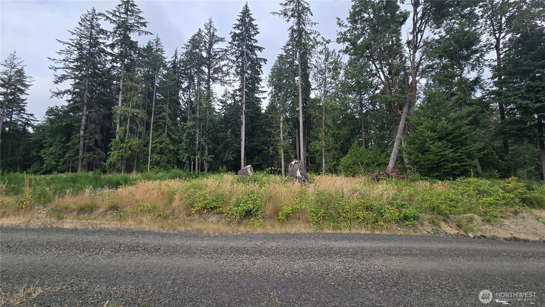 26 Xx Oregon (lot C Of Short Plat) Avenue Property Photo 1