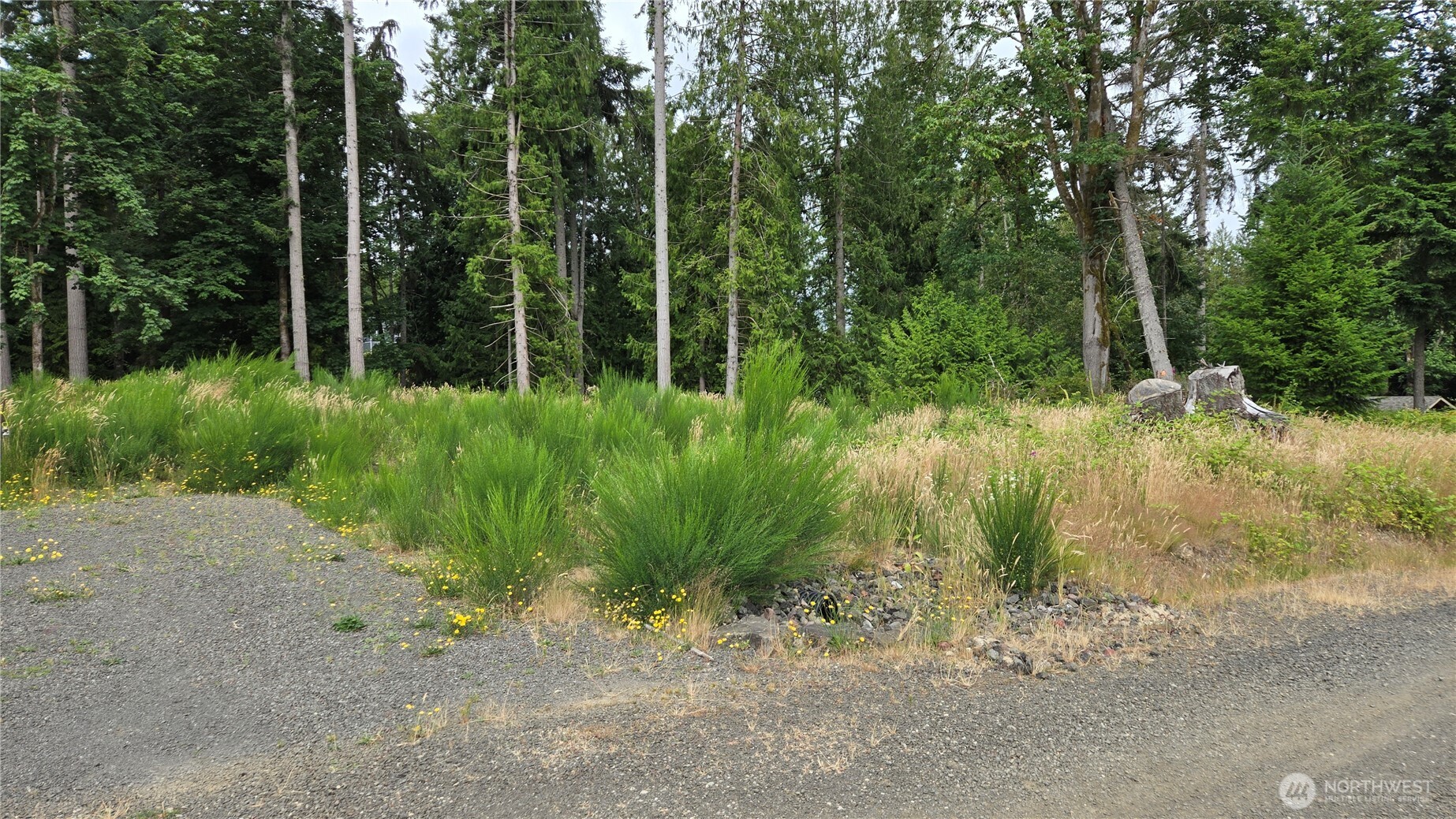 26 Xx Oregon (lot C Of Short Plat) Avenue Property Photo 3