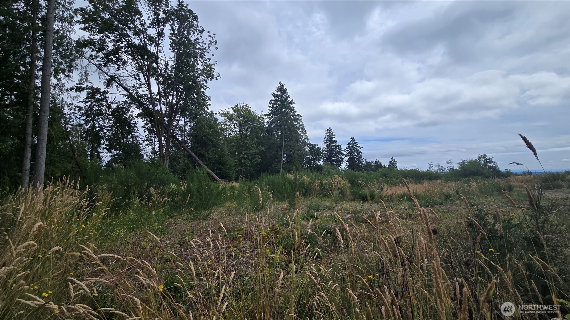 26 Xx Oregon (lot C Of Short Plat) Avenue Property Photo 8