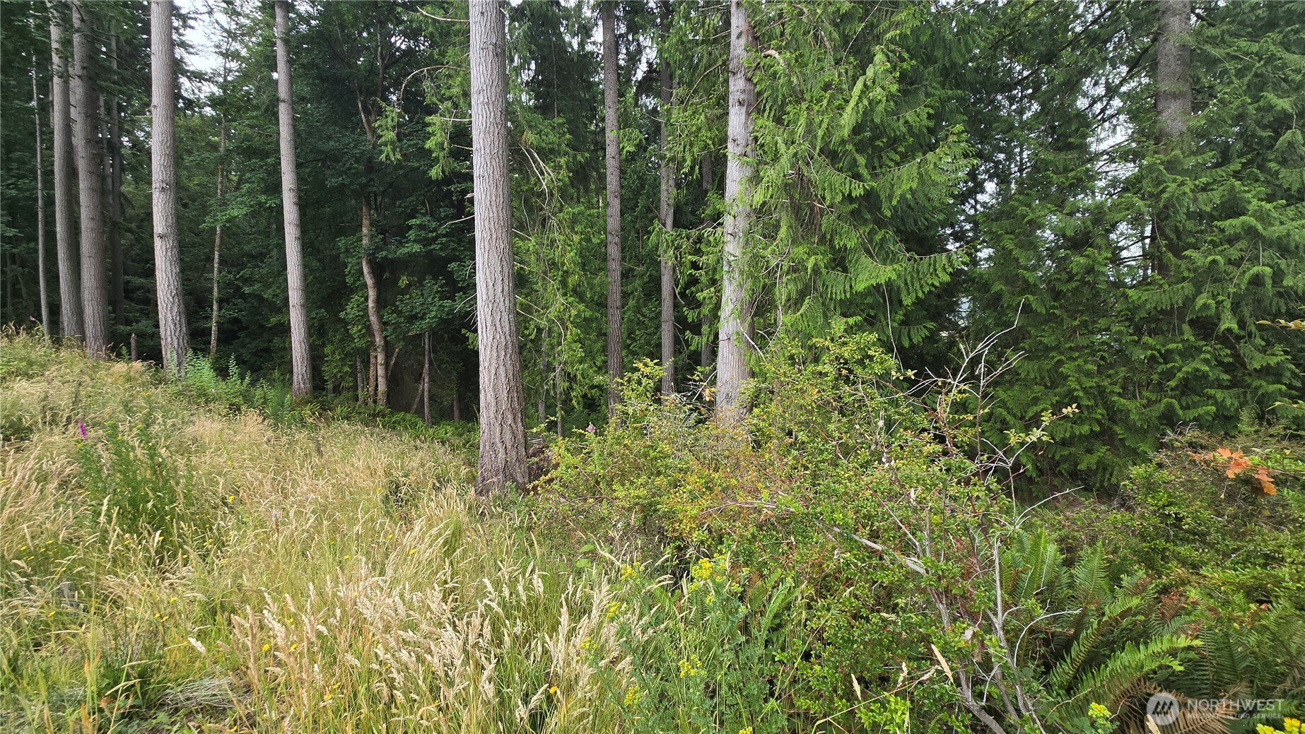 26 Xx Oregon (lot C Of Short Plat) Avenue Property Photo 11