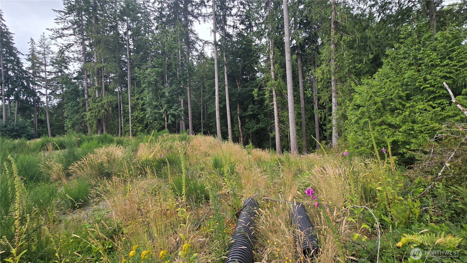 26 Xx Oregon (lot C Of Short Plat) Avenue Property Photo 13