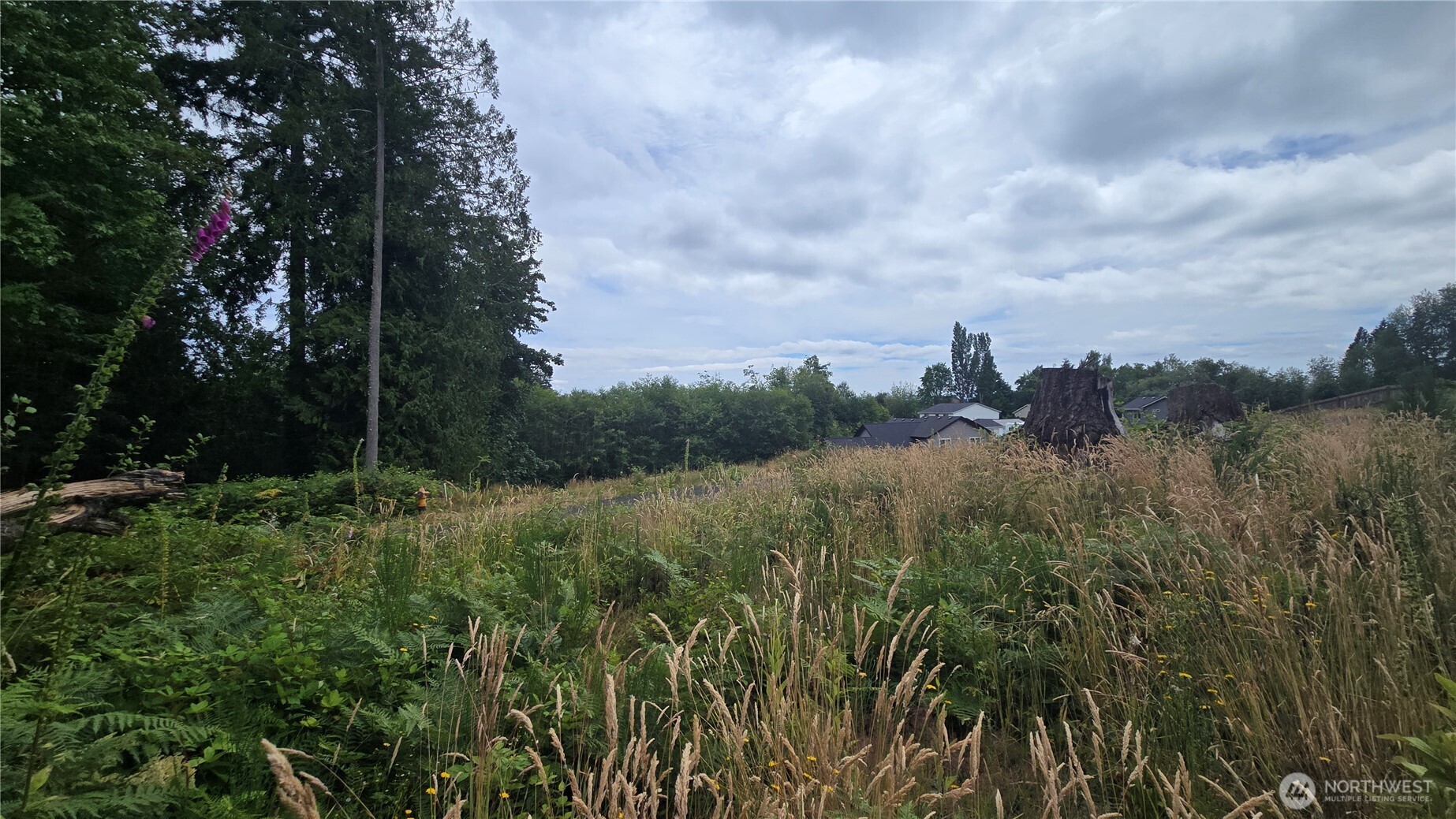 26 Xx Oregon (lot C Of Short Plat) Avenue Property Photo 14