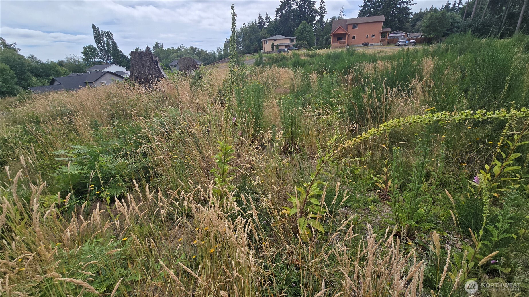 26 Xx Oregon (lot C Of Short Plat) Avenue Property Photo 15