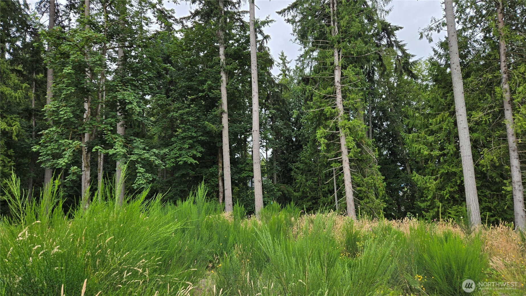 26 Xx Oregon (lot C Of Short Plat) Avenue Property Photo 17