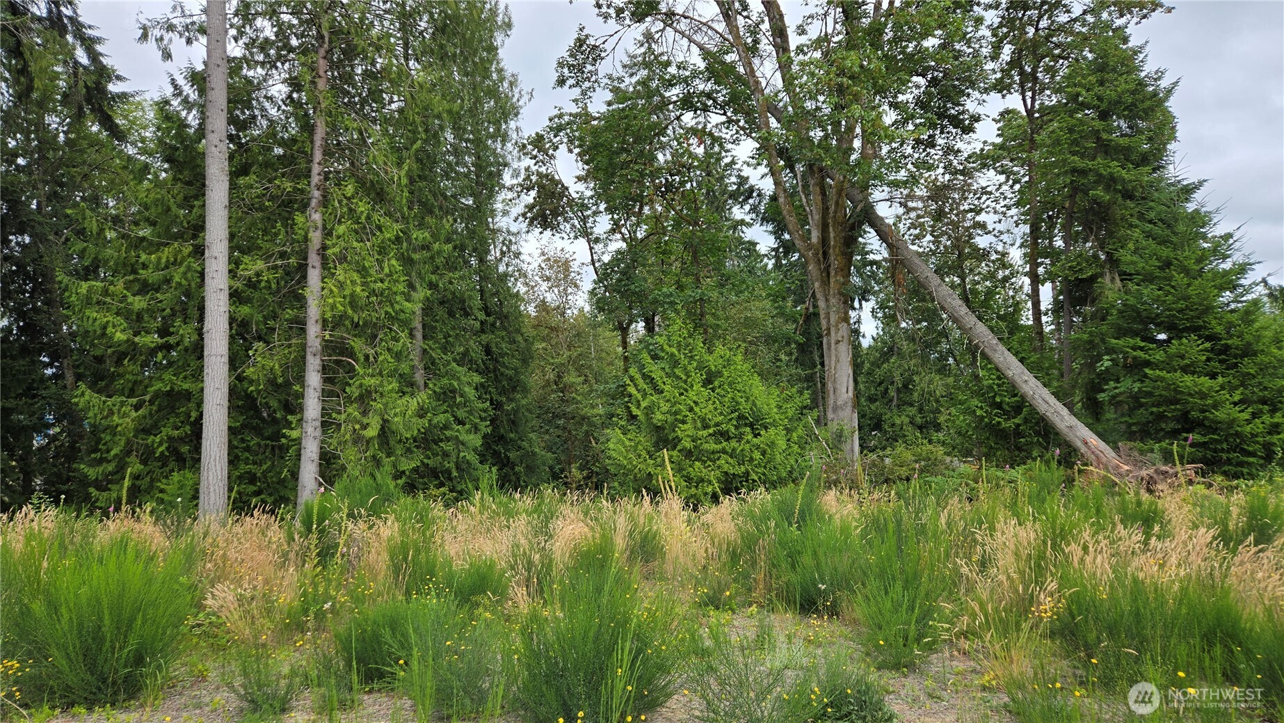 26 Xx Oregon (lot C Of Short Plat) Avenue Property Photo 18