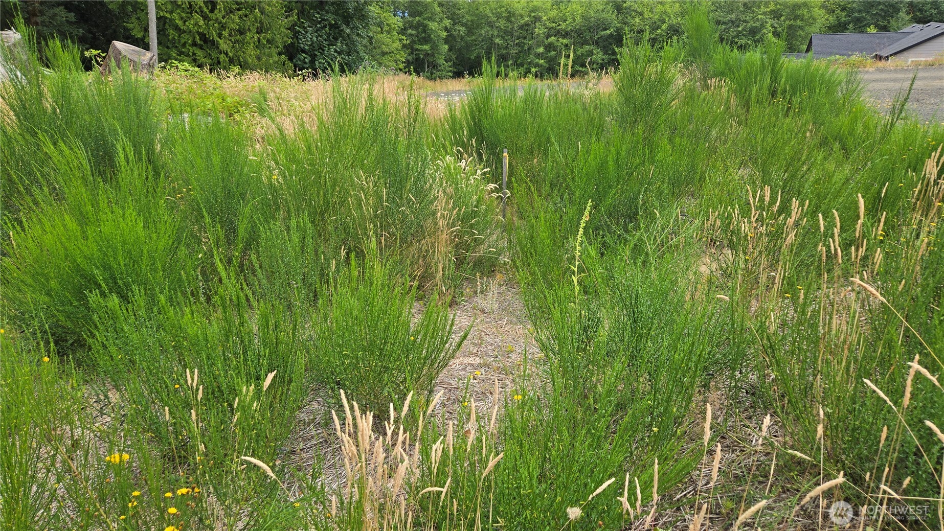 26 Xx Oregon (lot C Of Short Plat) Avenue Property Photo 20