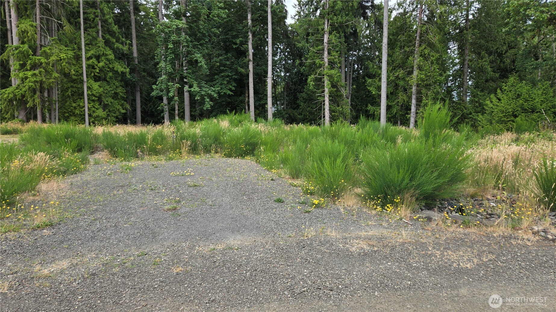 26 Xx Oregon (lot C Of Short Plat) Avenue Property Photo 23