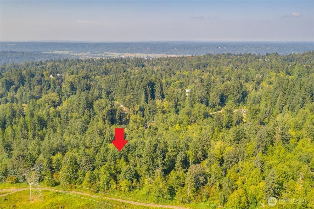19721 312th Avenue Property Photo 9