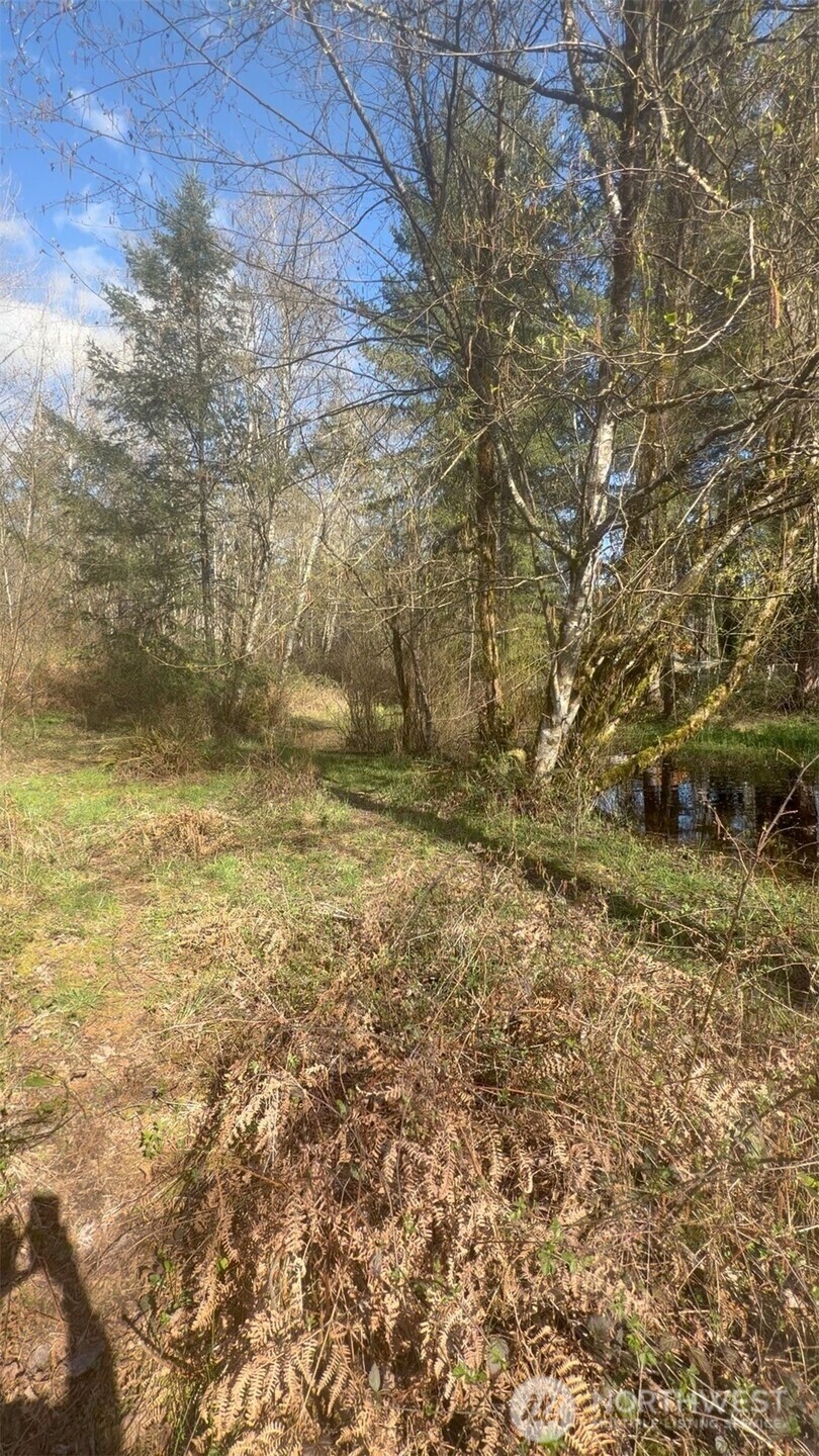 5842 137th Avenue Property Photo 6