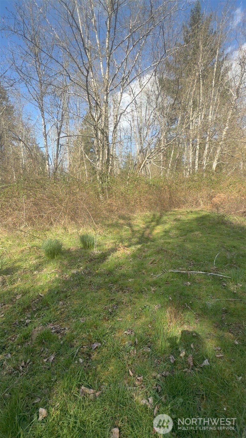 5842 137th Avenue Property Photo 8