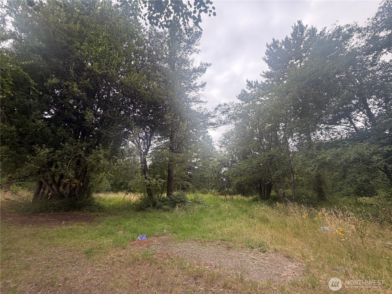 5842 137th Avenue Property Photo 17