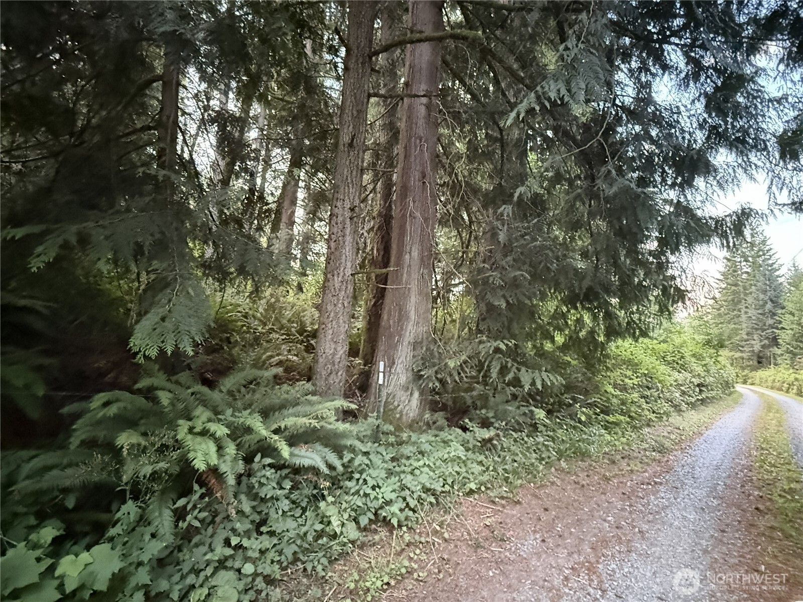 1 Bumgarner Road Property Photo 1