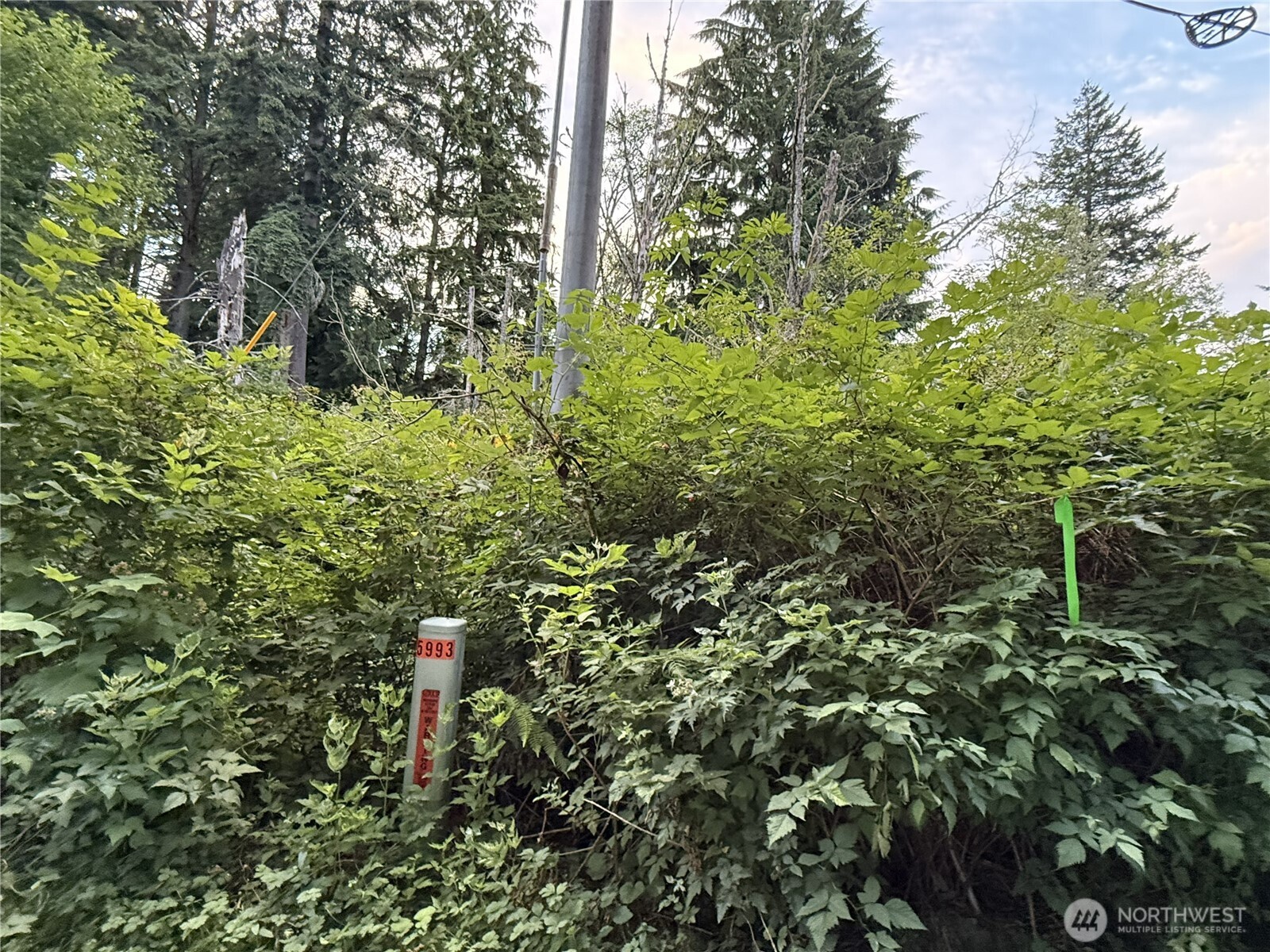 1 Bumgarner Road Property Photo 2