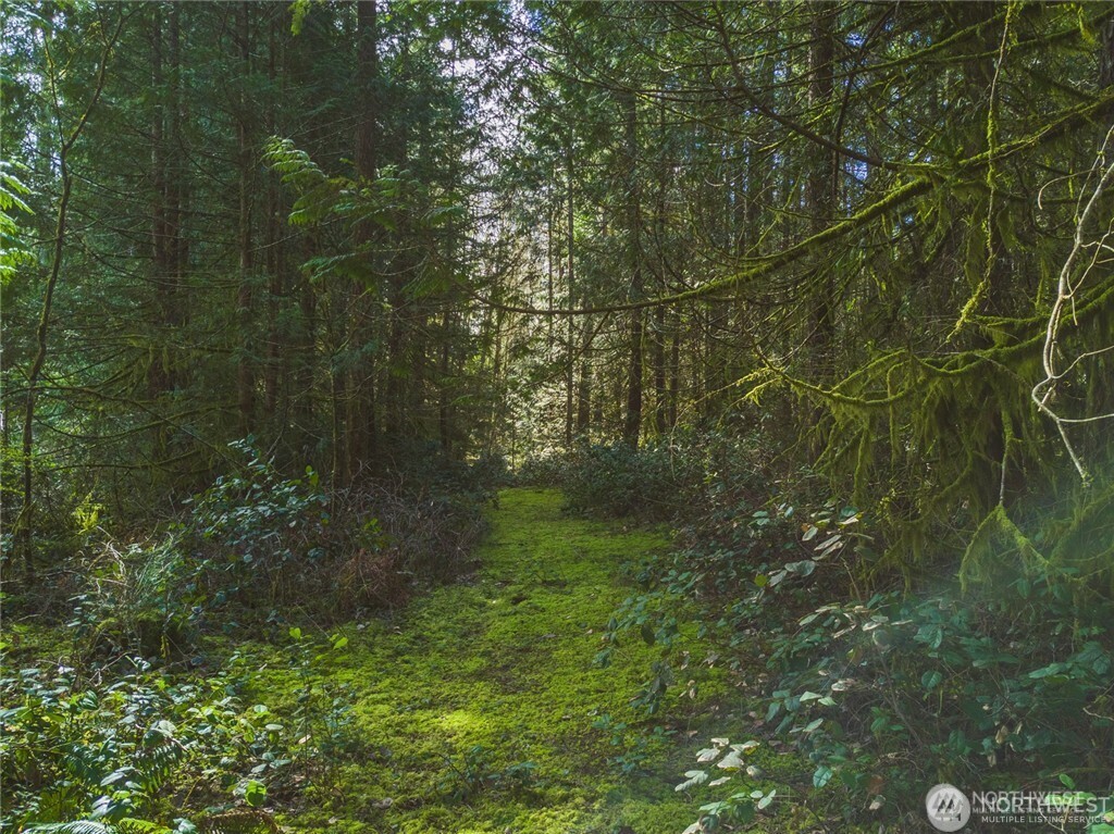 0 Sw County Line Road Property Photo 1