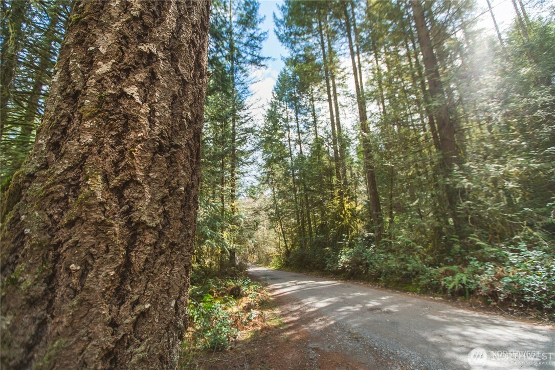 0 Sw County Line Road Property Photo 3