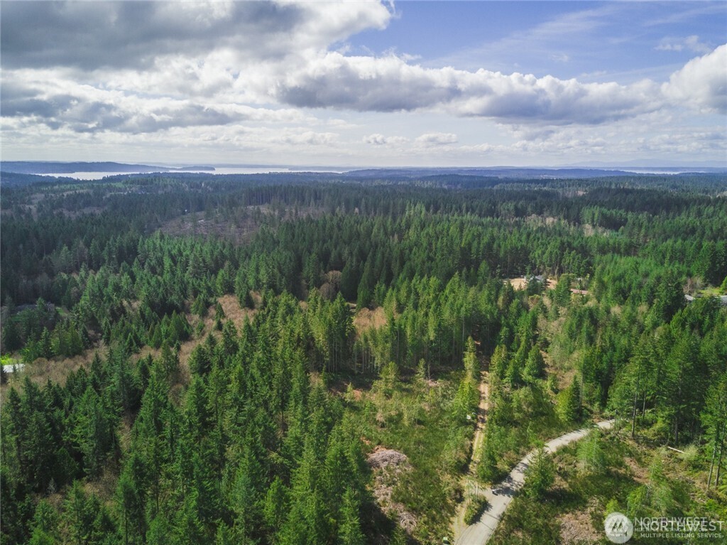 0 Sw County Line Road Property Photo 4