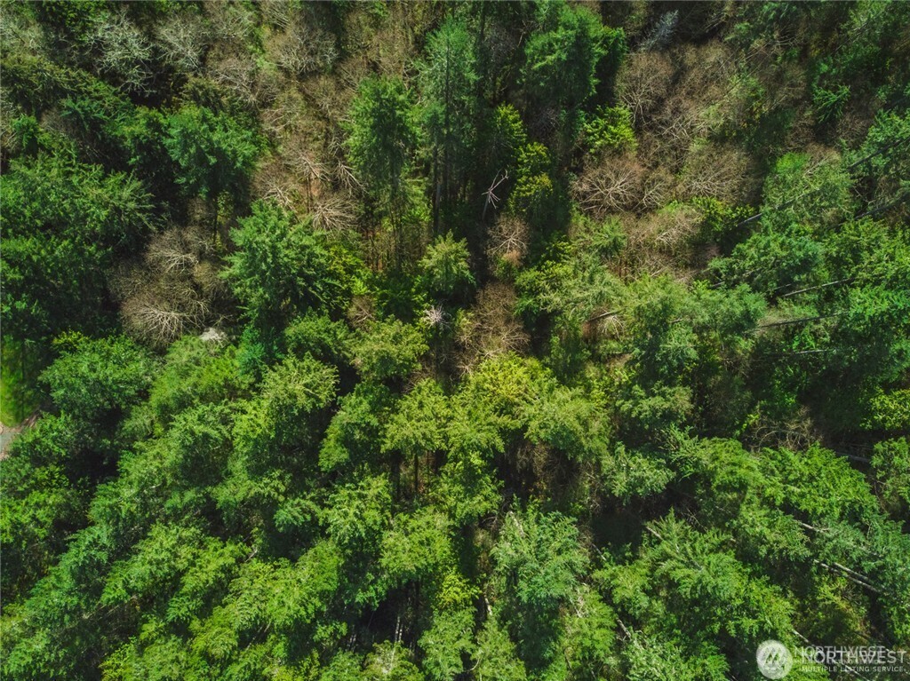 0 Sw County Line Road Property Photo 6