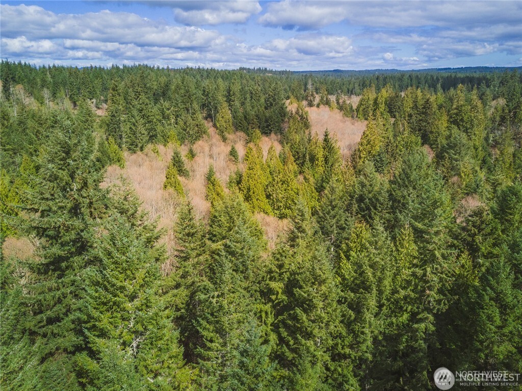 0 Sw County Line Road Property Photo 7