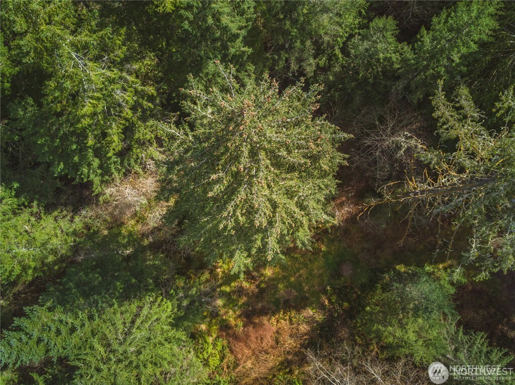 0 Sw County Line Road Property Photo 8