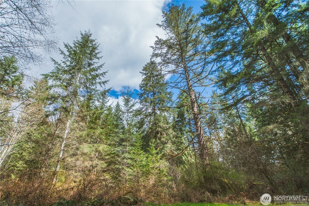 0 Sw County Line Road Property Photo 9