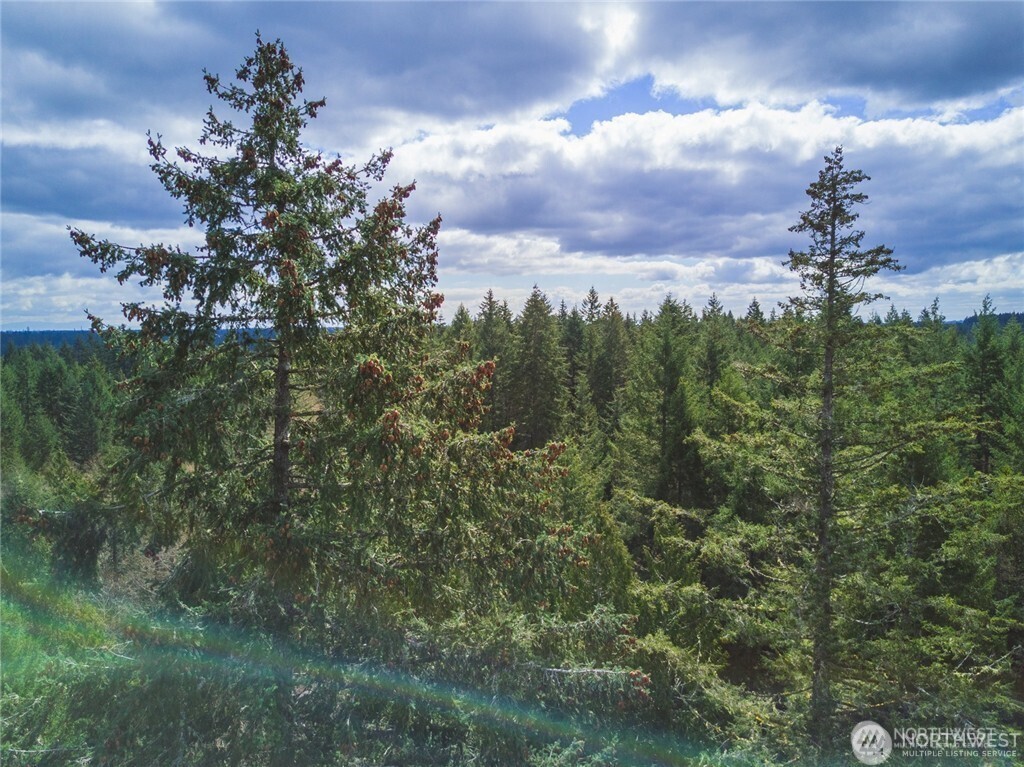 0 Sw County Line Road Property Photo 10