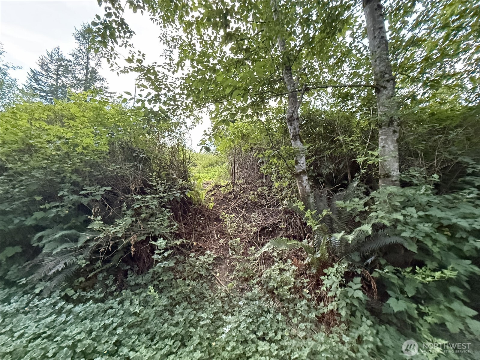 2 Bumgarner Road Property Photo 1