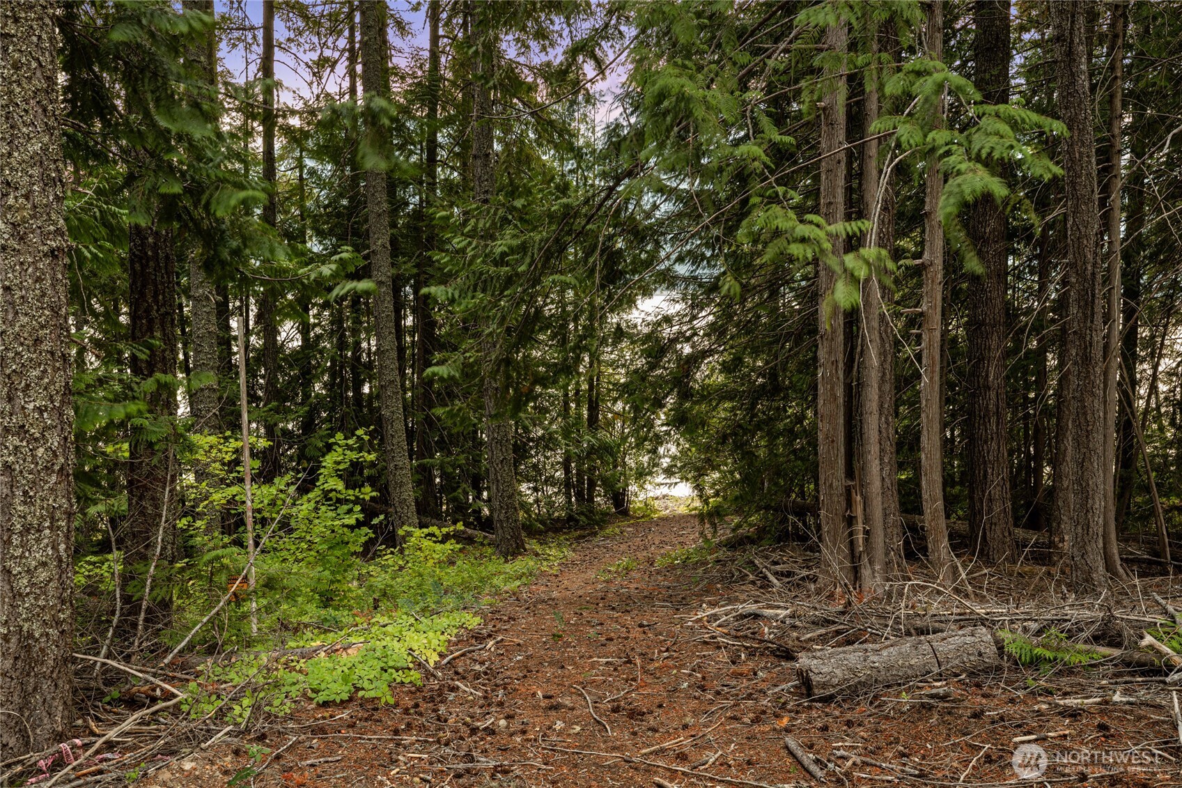 4193 Kachess Dam Road Property Photo 25