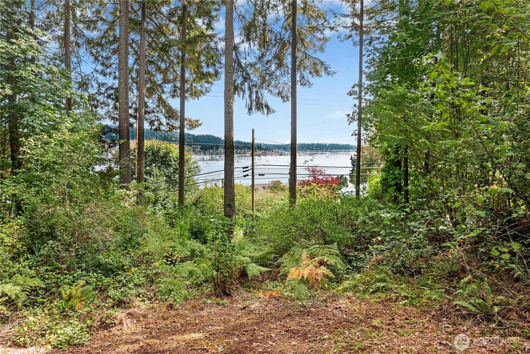 19301 Viking Avenue Property Photo 11