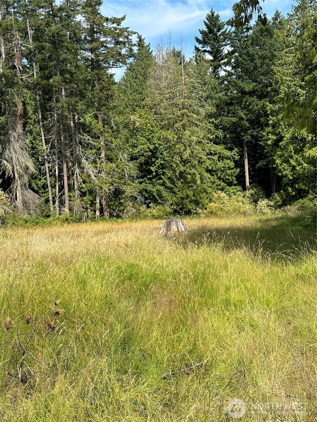 544 Copper Hill Property Photo 19